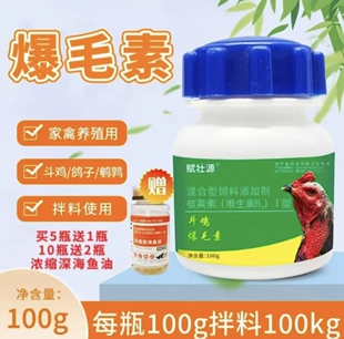 赋壮源斗鸡爆毛素斗鸡毛炸毛乱无光泽换毛补毛快厂家直发正品保障