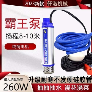 德國品質(zhì)電動抽油泵柴油12v24伏通用抽水泵抽油神器小型加油槍油