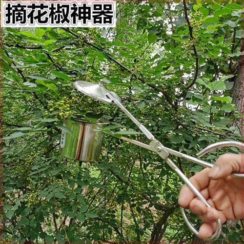 不锈钢摘花椒神器小西红柿小野果摘酸枣摘蓝莓金橘机器摘连翘工具