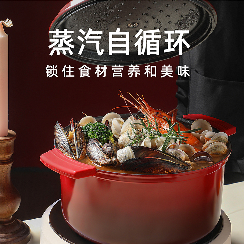 NORBERTW微压珐瑯锅家用炖锅炖盅汤锅焖烧锅Q不沾锅电磁炉闷煮锅