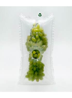 新品葡萄b充气袋中袋儿葡萄运输包装袋填充气泡袋半斤快递打包装