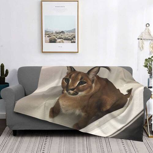 新品Big Floppa Caracalr Cat Cute Meme Blanket Soft Coral Fle
