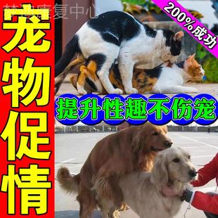 极速狗狗配种药狗用发情s宠物动物发情剂促进猫咪发情期母猫怀孕