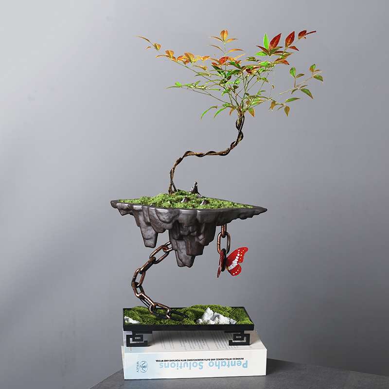跨境铁艺悬挂式摆件铁链悬浮家居装饰蝴蝶兰苔发财树造景花盆陶瓷