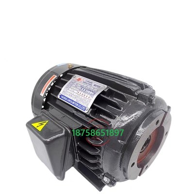 TAIZHOU LUNTAI MOTOR CO.,LTDT油泵电机液压站电机