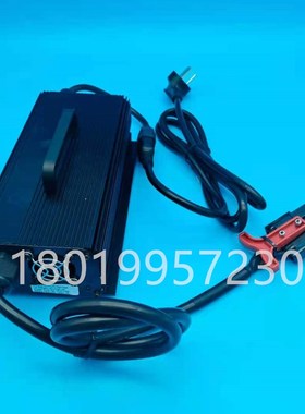 杭叉杭州电动叉车锂电搬运车CBD15-AMCF1LI充电机充电器24V20A配