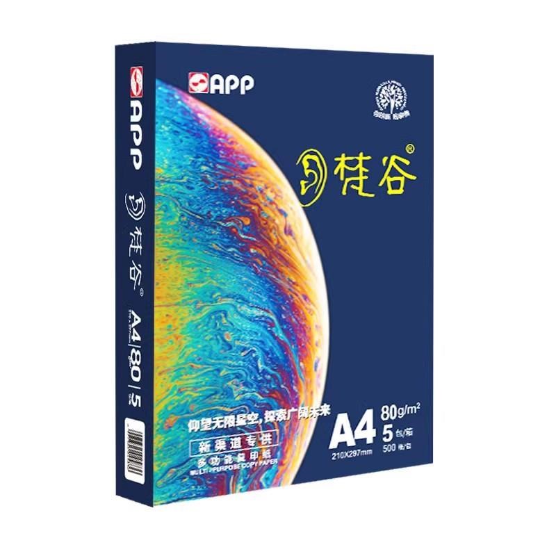 APP经济绿韵80G A4覆印t纸 80克打印A4纸惠而美足5000张 纸品产地