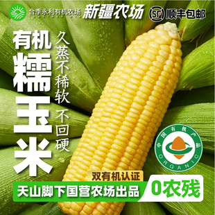 现货田园康新疆白糯玉米6斤10根装香甜好有机玉米速冻苞米棒新鲜