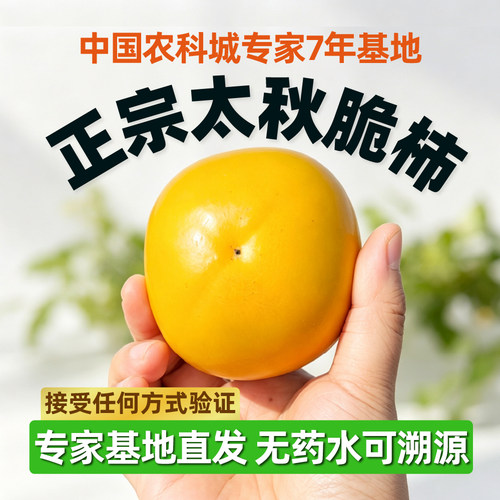 自营正宗太秋甜柿子大果新鲜水果