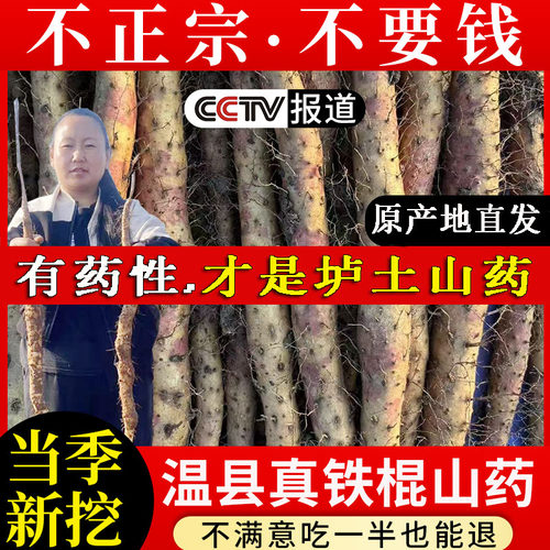 焦作温县垆土种植铁棍山药怀山药