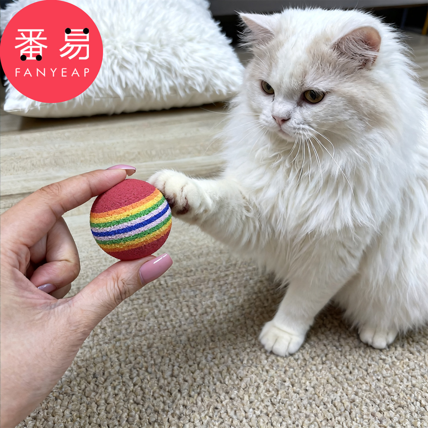 猫玩具球B1pn008-彩虹球宠物用品猫咪玩耍逗猫球宠物互动解闷球