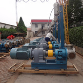 输送聚合树脂液泵NYP110 W11高粘度泵介质粘度40mpa.s