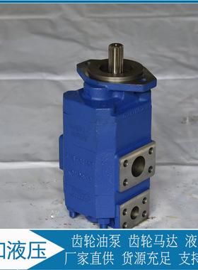 P124B085DUZA10-54   P124B185SNZA15-54PBZA07-1  泊姆克齿轮泵