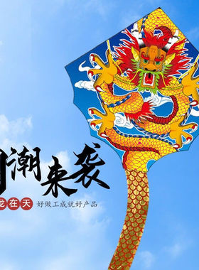 潍坊风筝中国龙风筝新款抗大风筝长尾三角形档国潮成人盘龙风筝