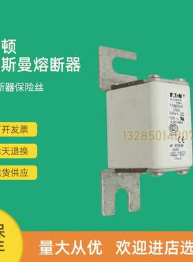 极速快速熔断器保险170M2041 170M2042 G170M2043 170M2044议价