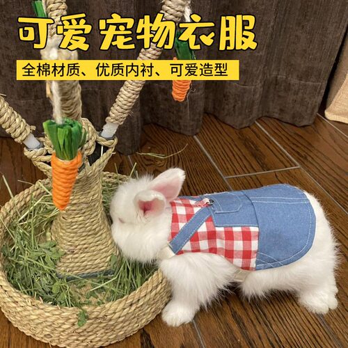 新品兔兔衣服兔子宠物兔穿的衣服春D球款扮靓垂耳兔衣服牛仔服活