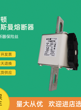极速全新快速熔断器保险170M5714 170BM5715 170M5716 170M5717