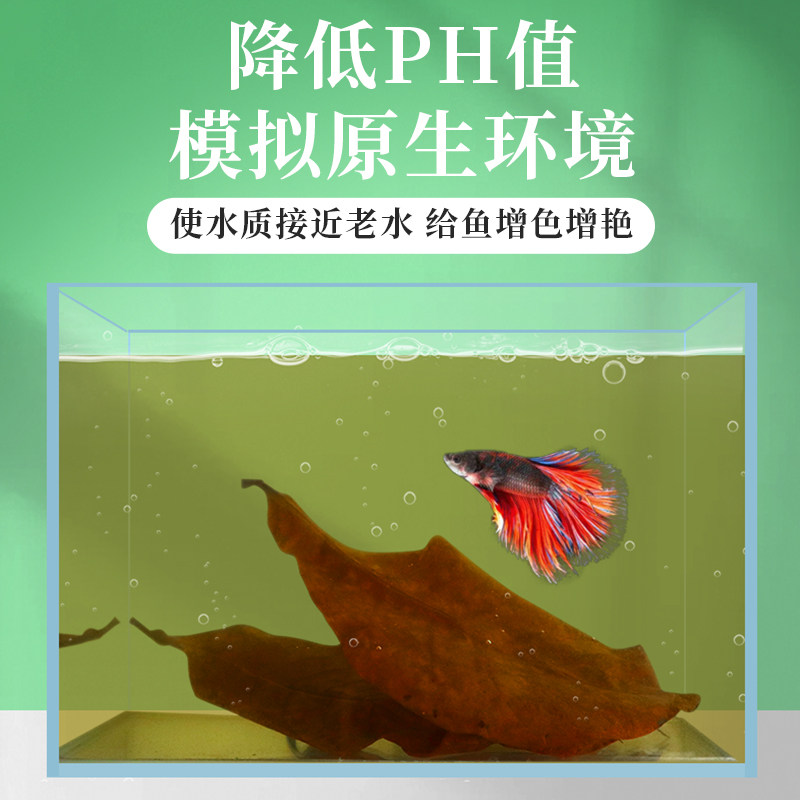 极速泰国斗鱼榄仁叶鱼缸ph调节剂D酸碱度调节养龟龙眼叶套餐懒人