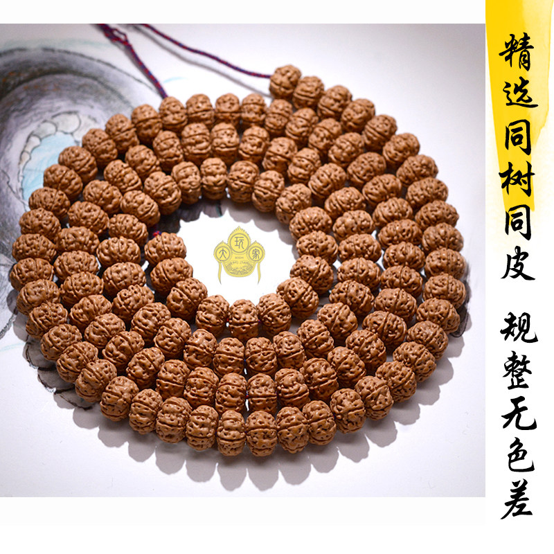极速正宗毕业级别南瓜满肉爆肉飞碟树王小金刚菩提R子108颗原籽佛
