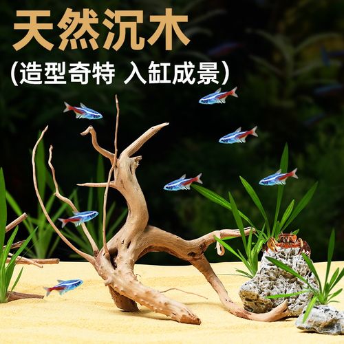 极速杜鹃木鱼虾躲避布景树枝装饰品真木头森林微景观鱼.缸造景沉