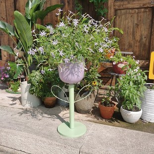 花盆口径22.5 花盆高度20 极速郁金香花架i23