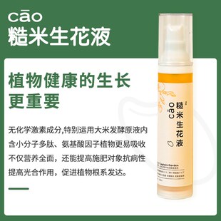 极速船长多肉花园糙米生花液水培促开花I卉绿植物营养液通用型复