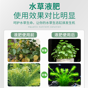 极速水草营养液鱼缸水草泥伴侣茁壮液温和植N物根基肥生态通用浓