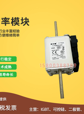 极速适用快速熔断器保险丝170M4560/4561/4562/4563/4564/4Z565/4