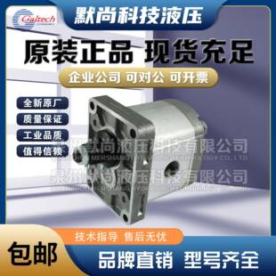 D马达 025 009 012 高泰克Galtech齿轮马达1SM 032 020 016 037