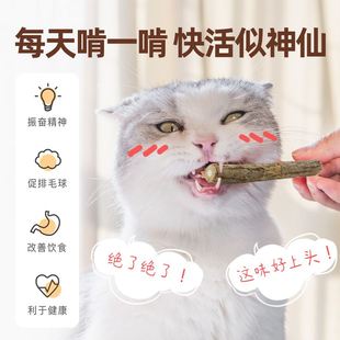 宠物猫咪木天蓼磨牙棒猫薄荷玩具洁齿零食逗猫木天廖啃咬解压零食