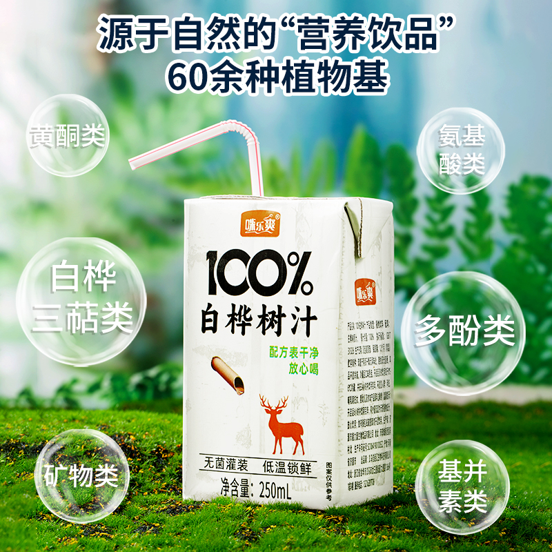 白桦树汁100%天然250ml*10盒装植物饮料无添加自然新鲜夏季整箱