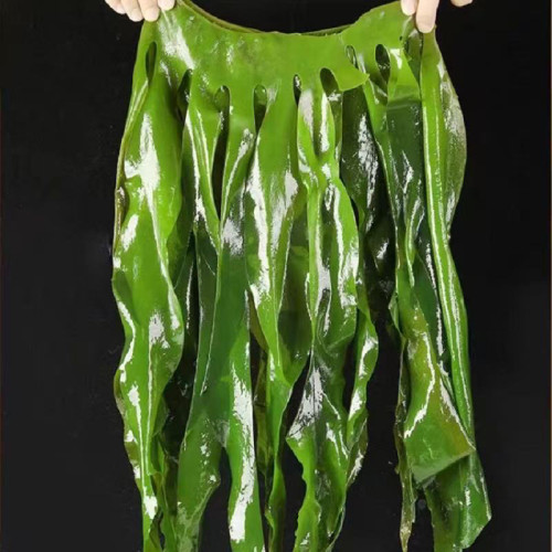 减盐版，高膳食纤维裙带菜身材管理期佳品