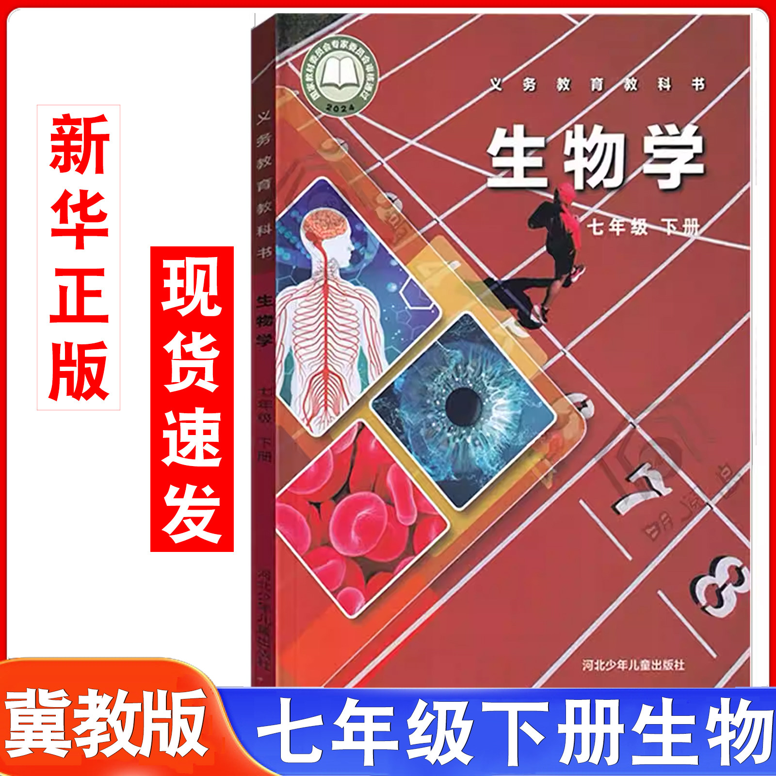 【2026新】初中生物书七年级下册冀少版课本初一下册生物书课本教材教科书7年级下半学期生物学七年级下教科书河北少年儿童出版社,书籍/杂志/报纸,中学教材,淘宝优惠券,粉丝福利购,淘宝优惠卷