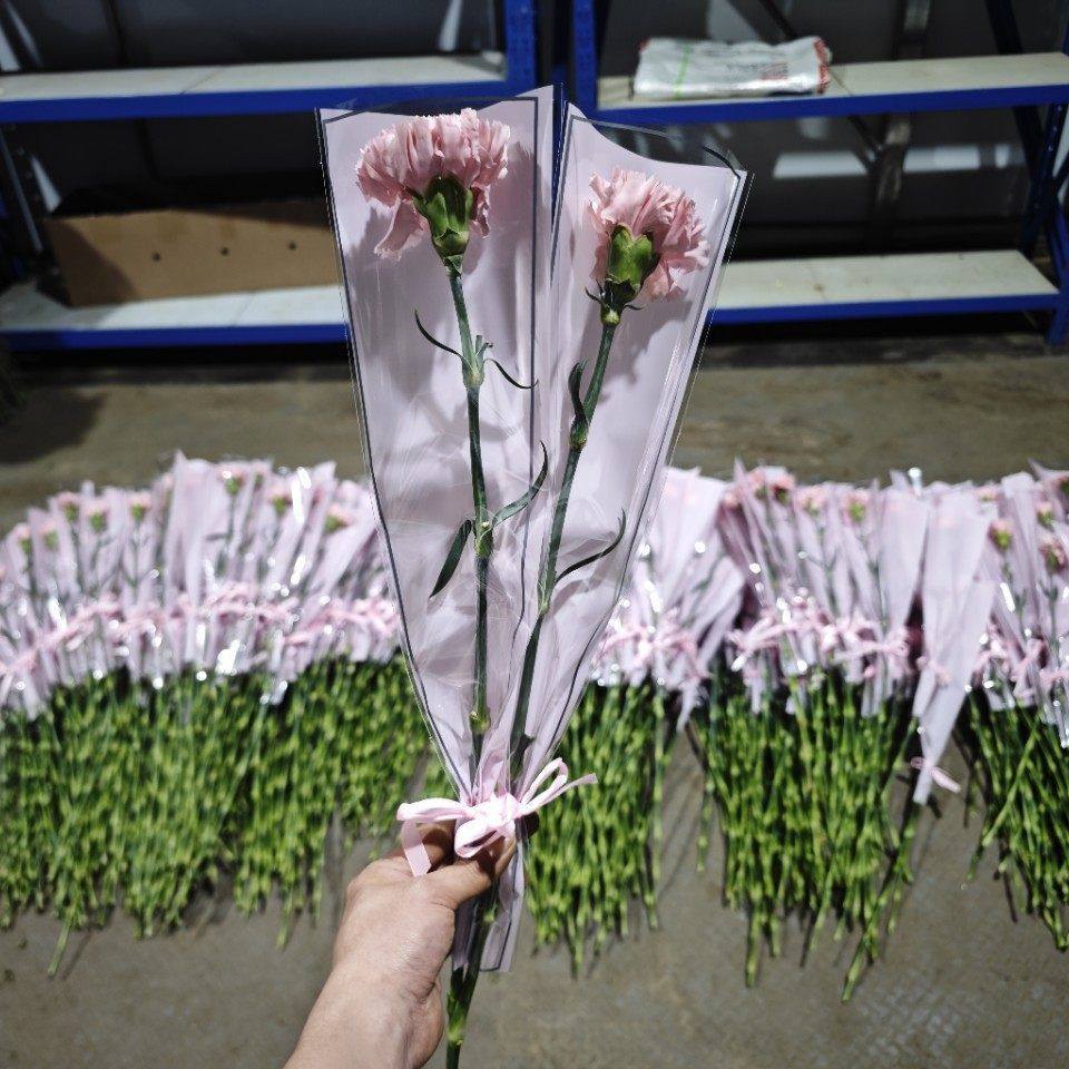 简框金边支袋DIY 透明防水郁金香玫瑰小花束包花袋花艺材料,节庆用品/礼品,创意礼盒/礼品套组,淘宝优惠券,粉丝福利购,淘宝优惠卷