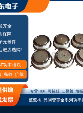 SW12CXC2850 SW20CXC2850 SW24CXC2850全新原装西玛平板型二极管