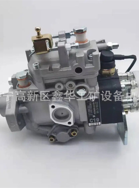 发动机配件22100-1C080 221001C080 22100-1C050 221001C050油泵