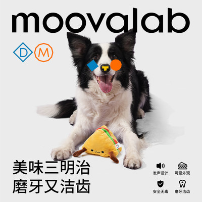 MoovaLab宠物玩具自嗨解闷