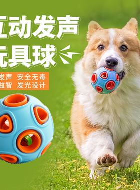 MoovaLab么哇狗狗玩具磨牙发声弹力小球巡回训练宠物户外互动遛狗