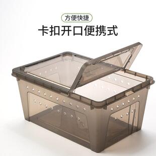 速发盒粉虫养殖设备大蛛虫饲养盒面包虫养殖饲养黄箱塑料蜘麦饲