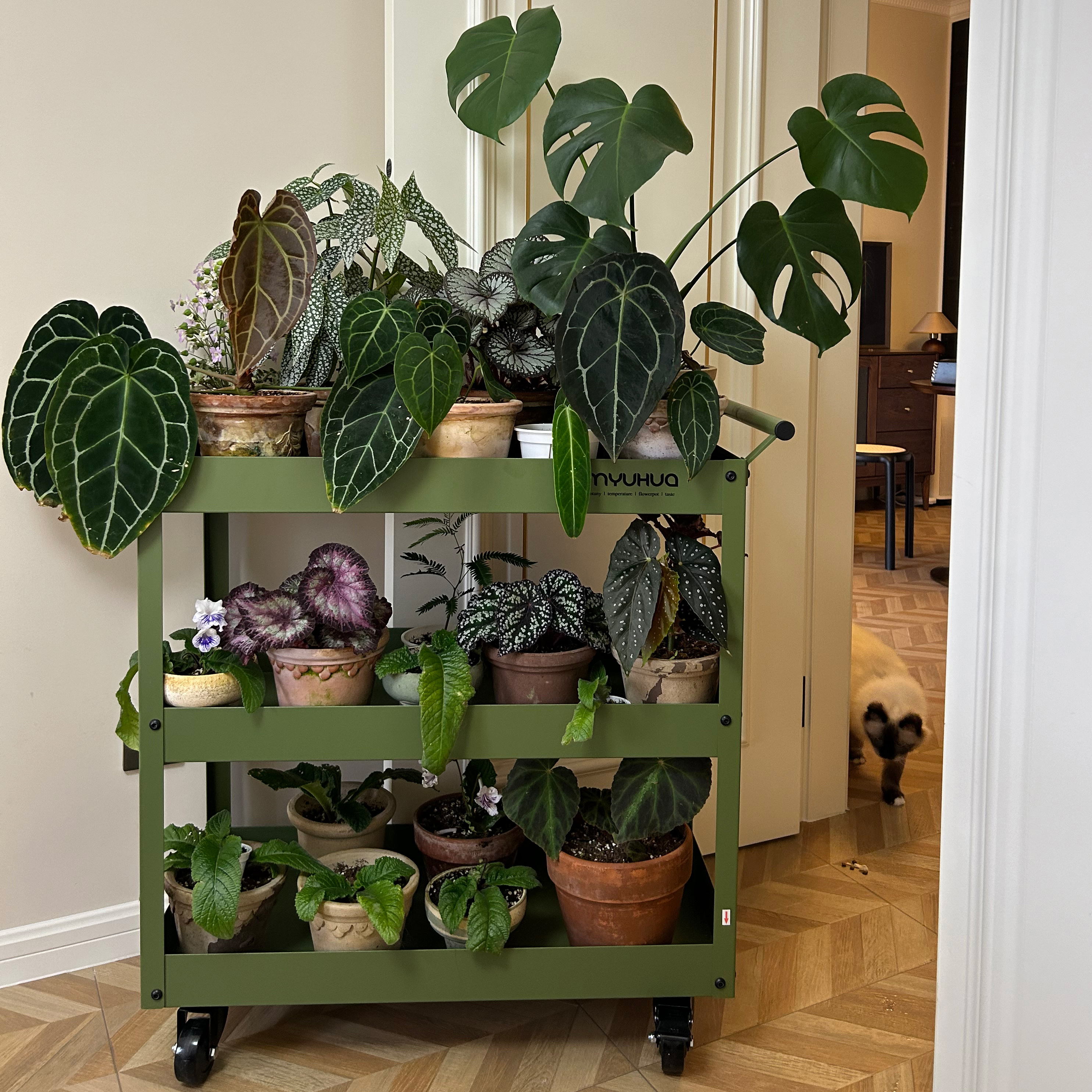 速发风金属餐物架厨房多层收纳架可移动小推车台置架零食花边柜