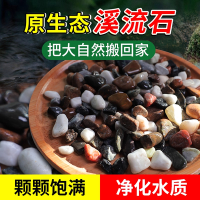原生态溪流石底砂主石鱼缸造景乌龟缸天然鹅卵石头子铺底水族专用