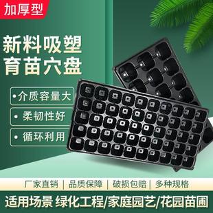 直销育苗盘穴盘营养钵塑料蔬菜苗加厚32 50 72 105孔量大优惠