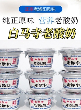 白马寺老酸奶160g全脂风味发酵乳洛阳老字号浓稠固体儿童营养早餐