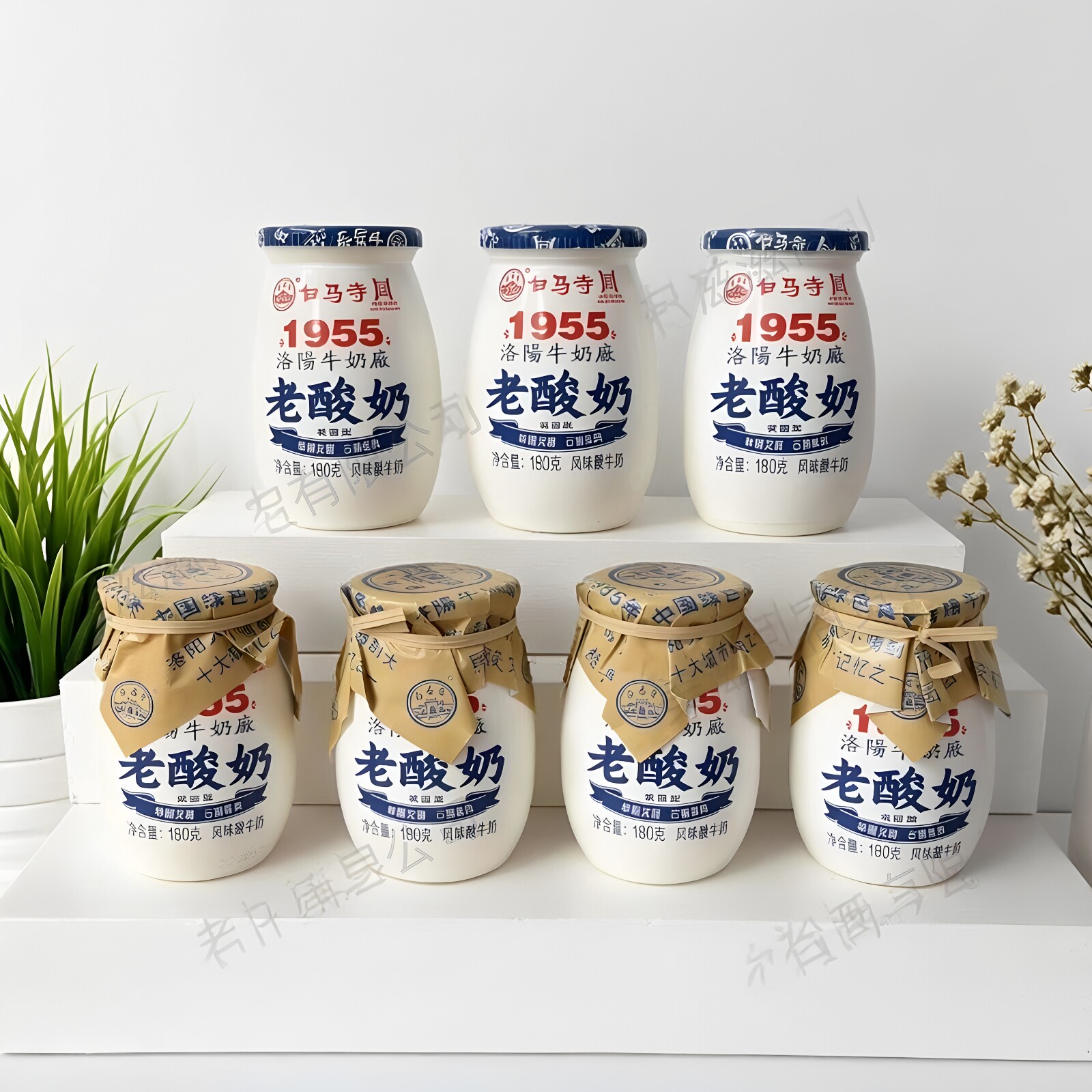 白马寺1955原味低温老酸奶