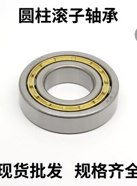 圆柱滚子轴承NJ2305 2306 2307 2308 2309 2310 2311 2312 2313EM