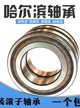 满装圆柱滚子轴承SL18/NCF 2922 2924 2926 2928 2940 2948 2972