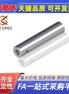 一端内螺纹带扳手槽导向轴SCE01 SCF01 SCE02 SCE21 SCF02 可定制