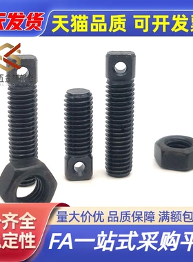 FFE01碳钢拉伸弹簧用支柱AIPOZ3/4/5/6-15/20/25/30/35/840/50