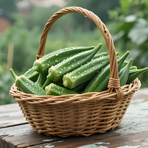 黄秋葵种子种籽高产绿秋葵瓜果春秋四季易种植盆栽蔬菜孑菜籽大全