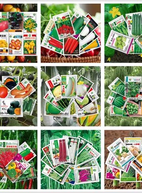 蔬菜种子大叶香菜四季小香葱播盆栽辣椒番茄秋种籽子大全植阳台